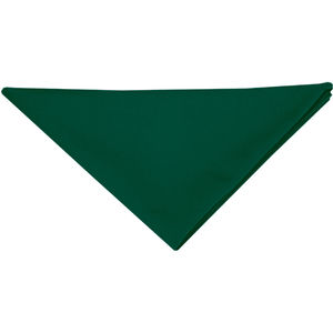 Bandana personnalisé | Huggo Vert Forêt